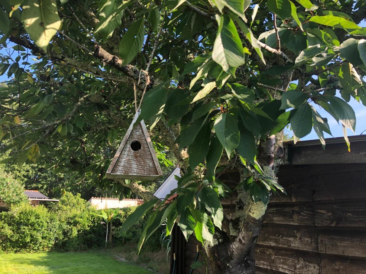 Villa Orcas Léon エクステリア 写真