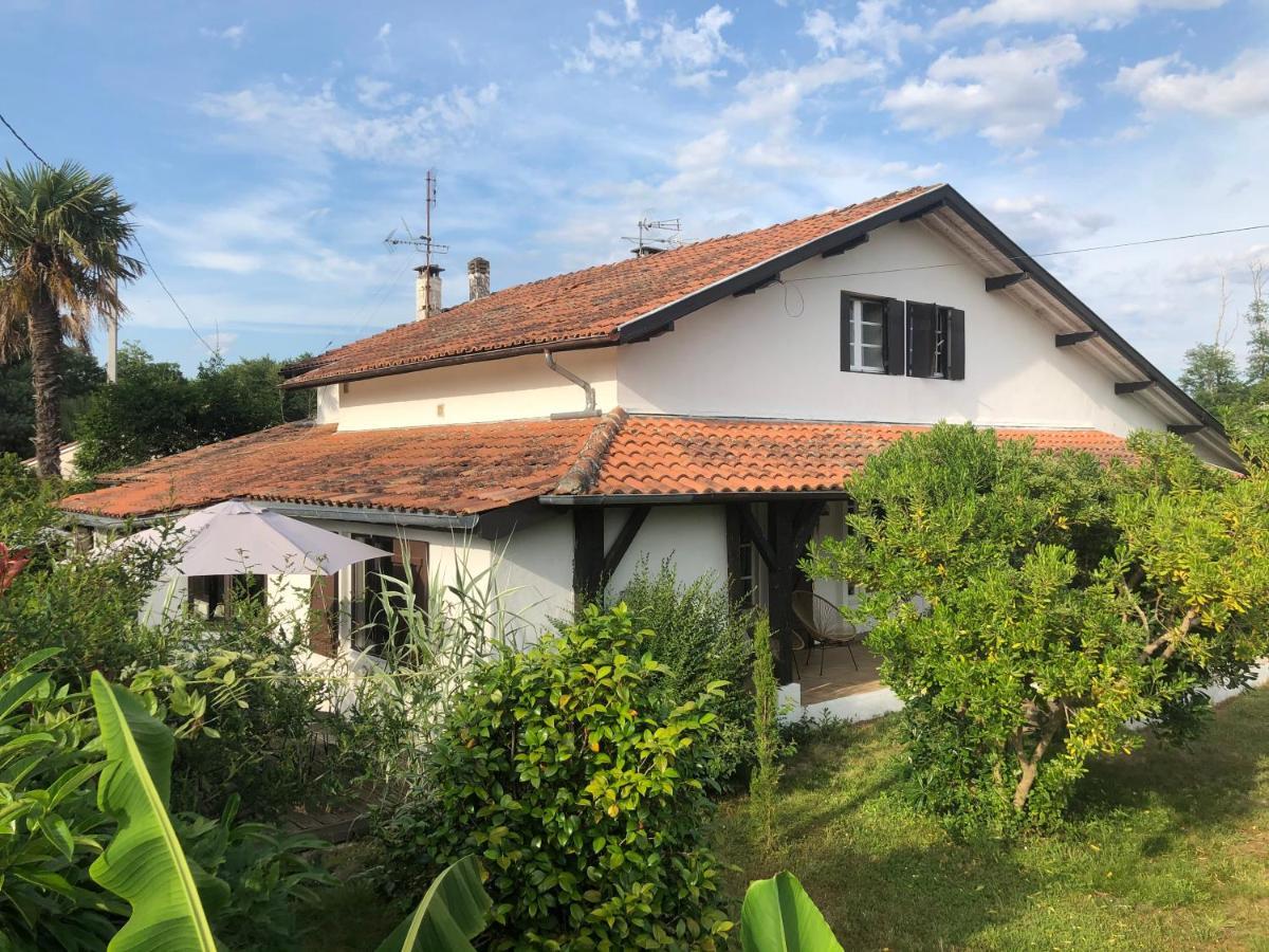 Villa Orcas Léon エクステリア 写真